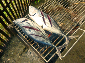 栄養満点！カツオに含まれる成分とは？